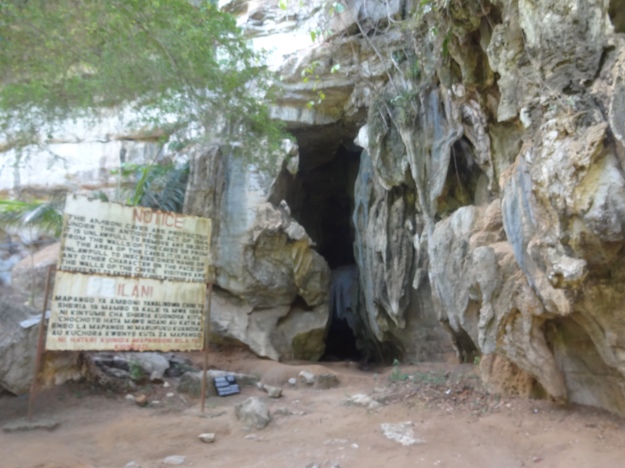 Sykt stor hule i Tanga